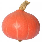 Red Kuri BIO